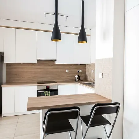 Raven Dubois, Garage In Price, 8 Min Walk To The City Center Appartamento Breslavia