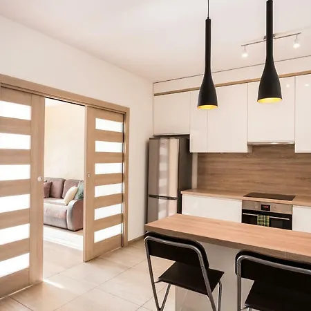 Raven Dubois, Garage In Price, 8 Min Walk To The City Center * Breslavia